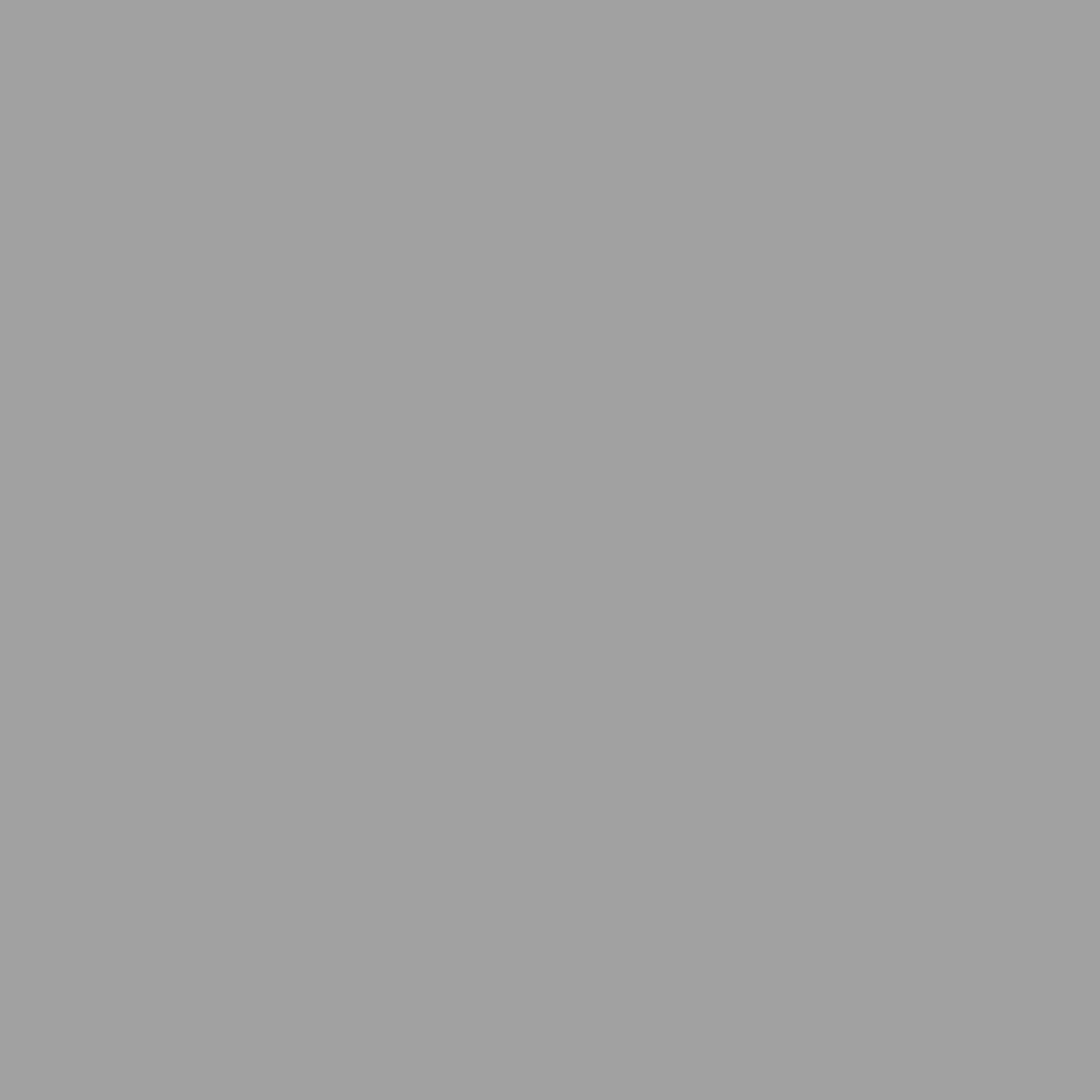 RAL 7004 SIGNAL GRAY